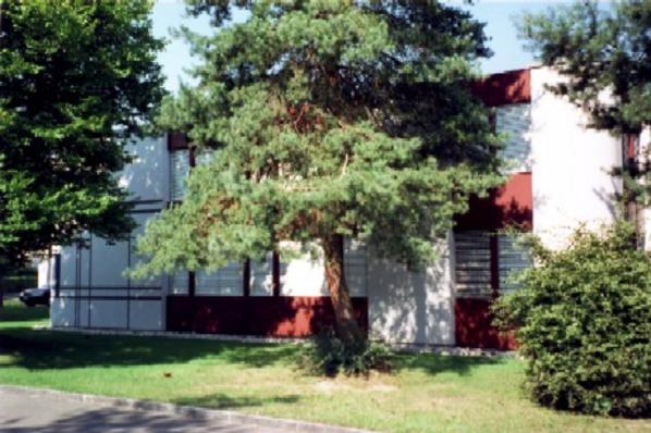 Das Gemeindehaus im Grünen.
