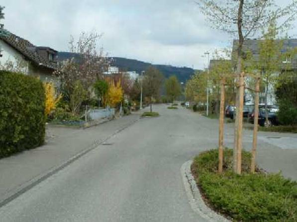 Versetzte Strassenverengungen fordern die Aufmerksamkeit der Fahrzeugführer. Dies klappt nicht immer, wie der neu gepflanzte Baum im Vordergrund zeigt. Sein Vorgänger wurde umgefahren. Die Begrünung gibt ein attraktives Erscheinungsbild.
