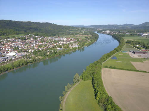 Rhein