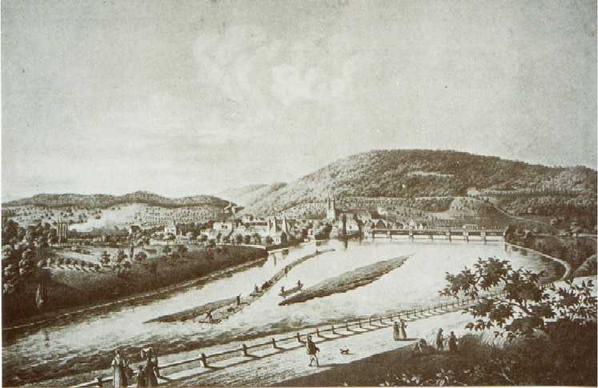 Flosszug auf dem Rhein (1866).