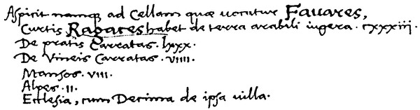 Erste Erwähnung von Ragaz im Jahr 845. Codex Sangallensis 609 der Stiftsbibliothek St. Gallen.