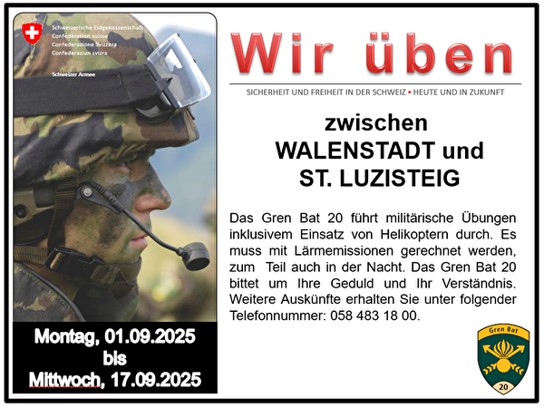 Schweizer Armee - Lärmemissionen