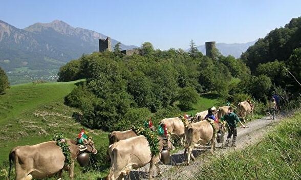 Alpabfahrt nach Bad Ragaz