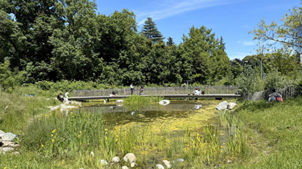 Biotope Rigot de la promenade de la Paix et du Cour des Nobel