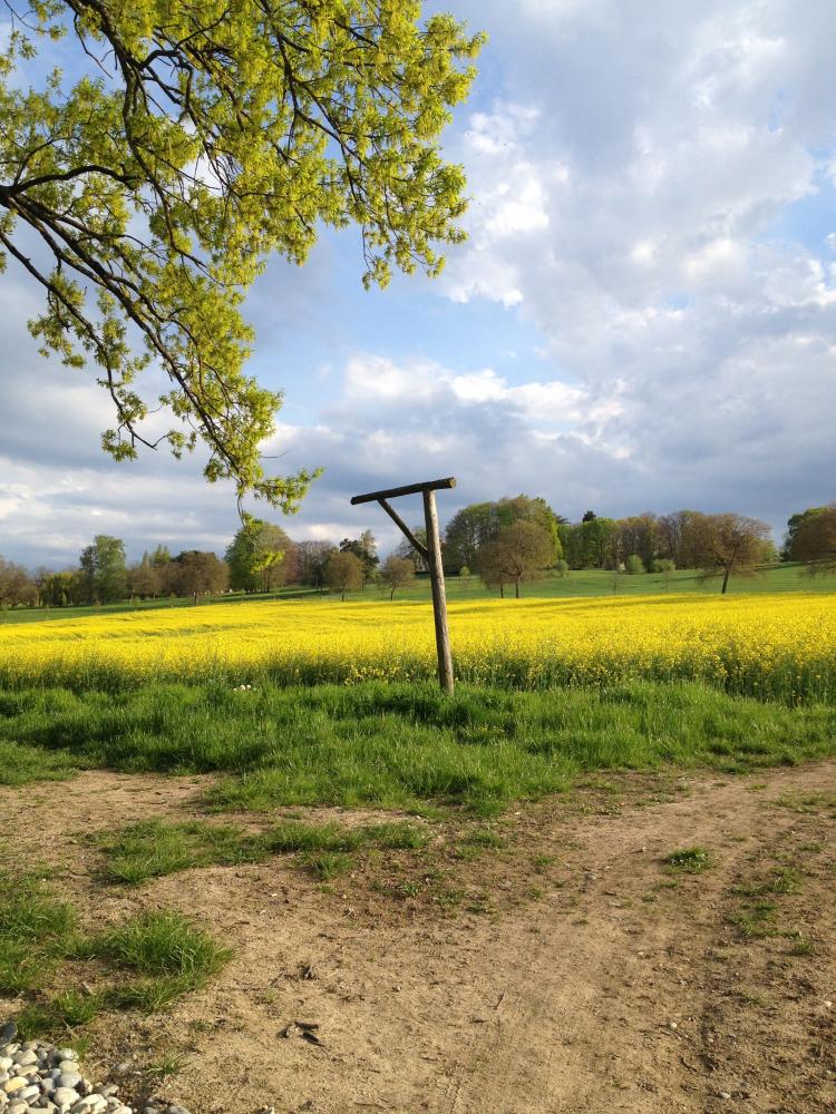 La campagne de Tournay