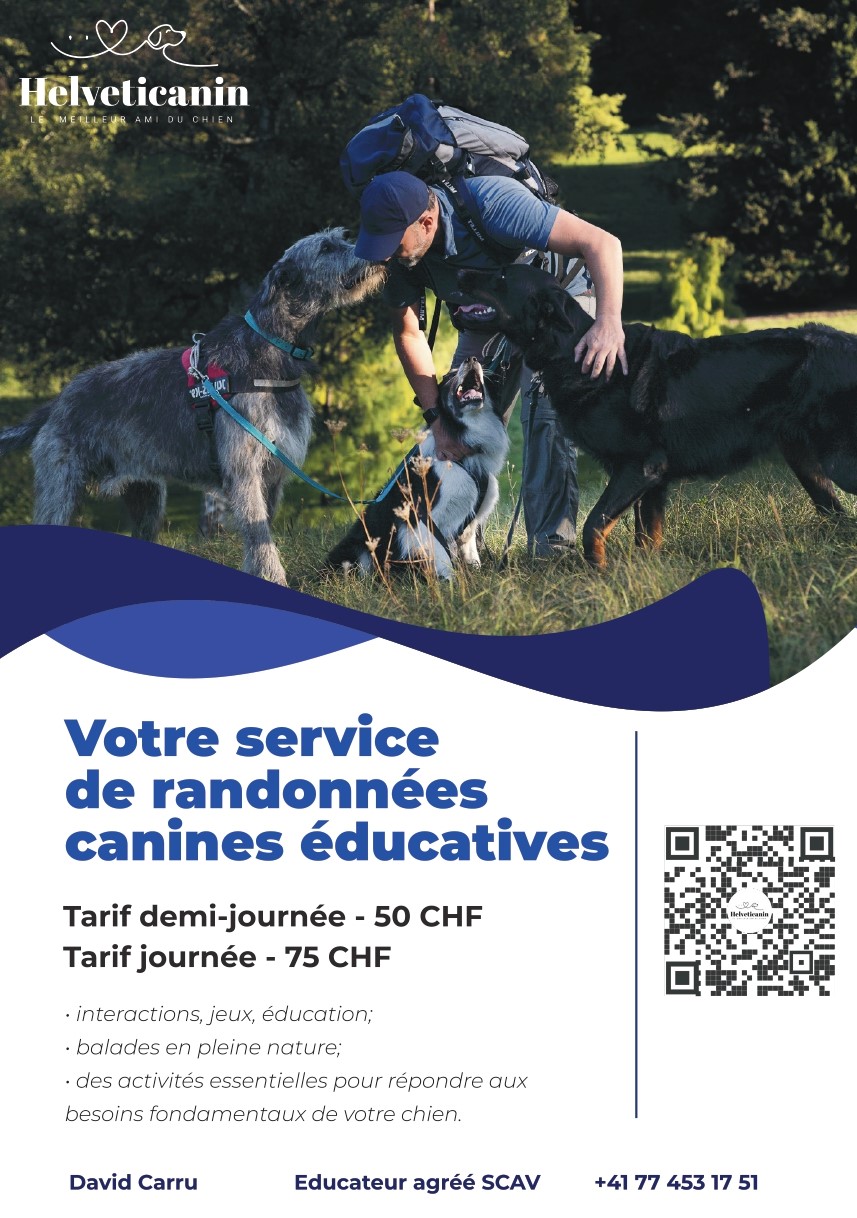 educateur canin
