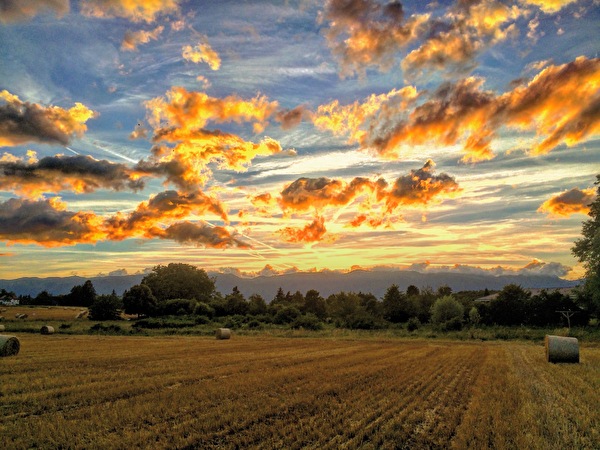 Campagne de Tournay