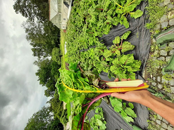 Les Jardins de Valérie.