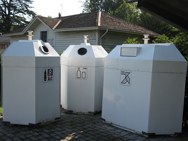 Image_1