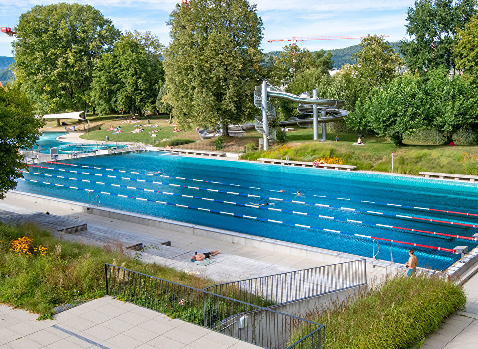 Bild Fondli