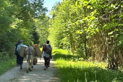 Pony und Esel Trekking