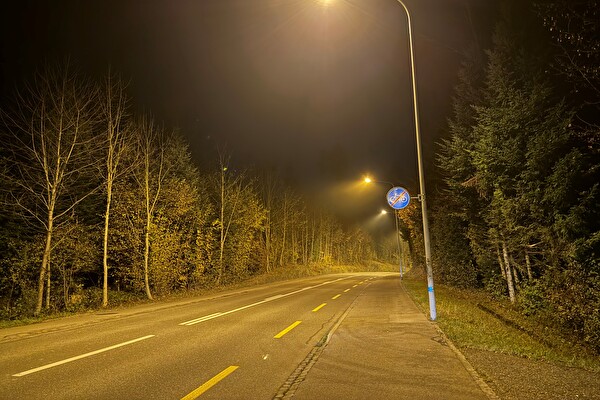 Strassenbeleuchtung Winterthurerstrasse