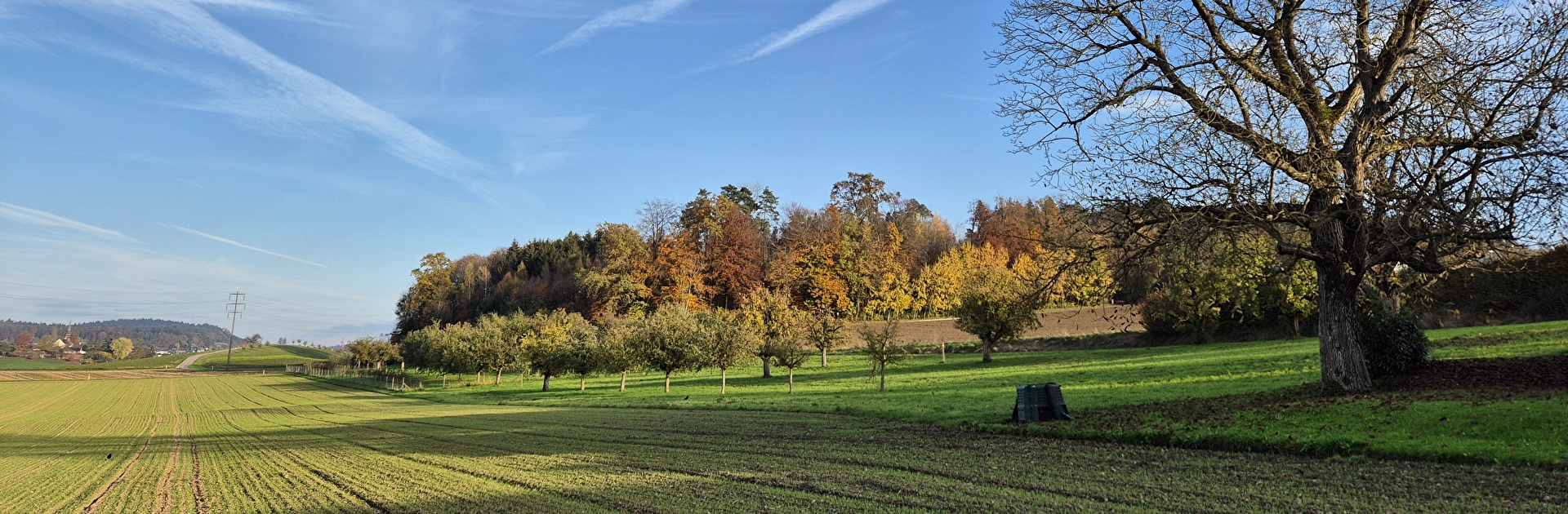 Ohringen Herbst