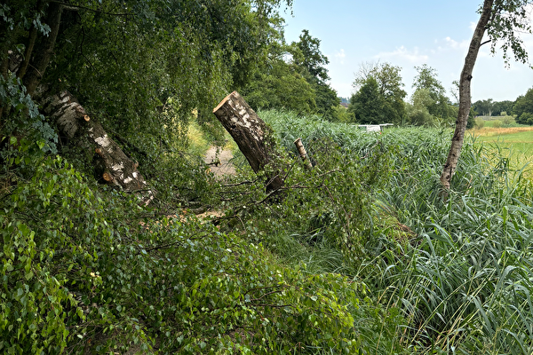 Sperrung Fussweg Welsikonerbach