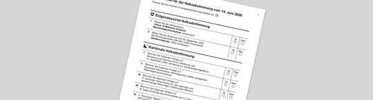 Stimmzettel E-Counting