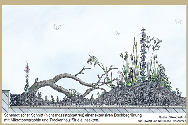 Klima-Garten Nr. 11