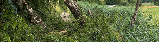Sperrung Fussweg Welsikonerbach