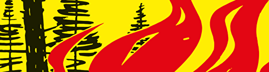 Feuerverbot