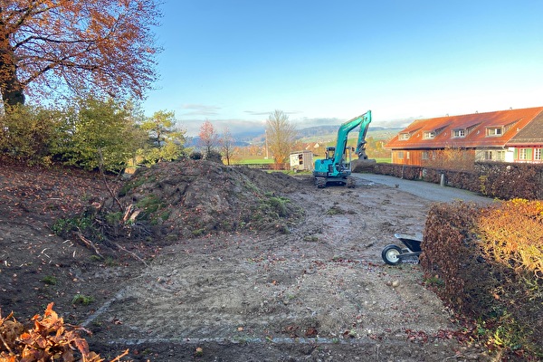 Arbeiten Waldgrab