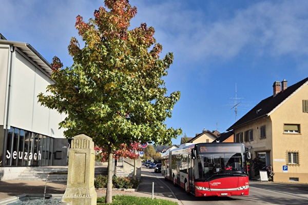 Bild Stadtbus