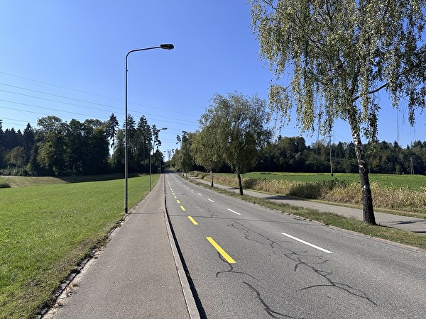 Strassenbeleuchtung Winterthurerstrasse