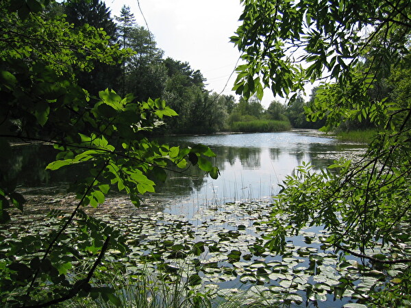 Natur