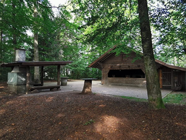 Wald
