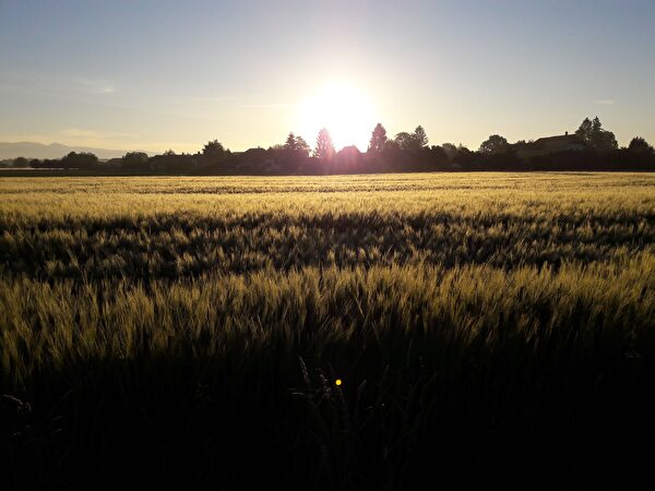 Landschaft