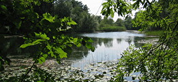 Natur