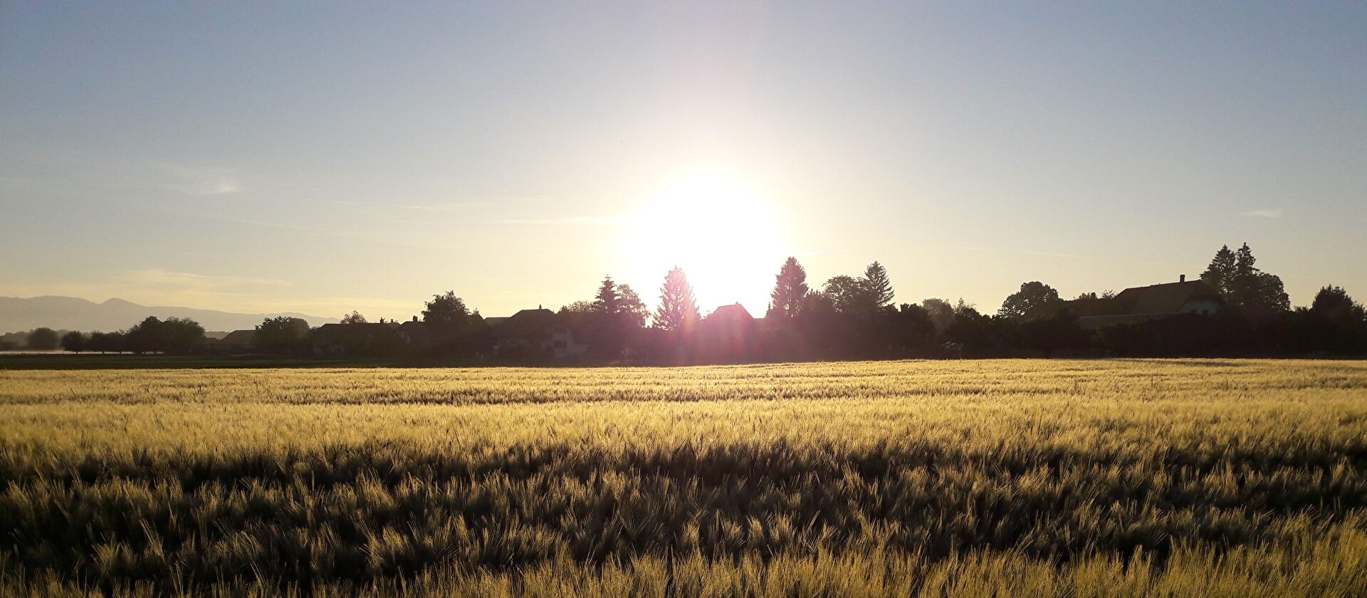 Landschaft