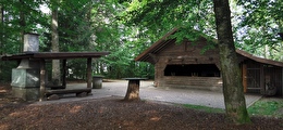 Wald