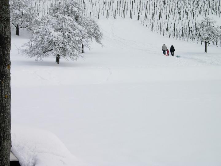 Eine Familie zieht unterhalb dem Rebberg erste Spuren in den Schnee.