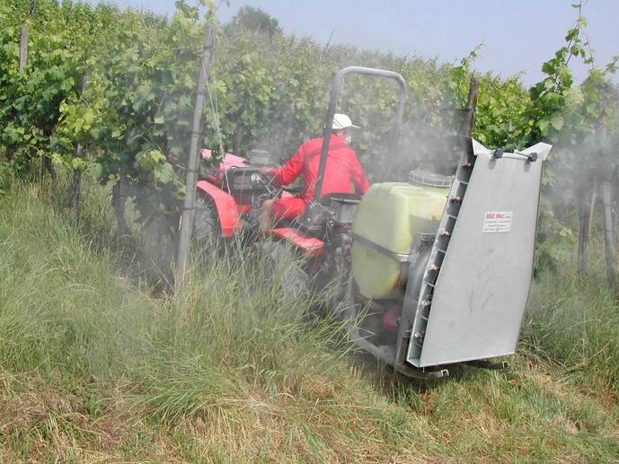 Praktisch alle Rebbauern unserer Region haben sich der Integrierten Produktion (IP) verschrieben. Ziele des heutigen Pflanzenschutzes sind primär die Gesunderhaltung der Reben und des Bodens.

In der Anwendung von Spritzmitteln geht man heute sehr umsichtig vor. Die Rebe ist aber eine empfindliche und anfällige Pflanze und die Rebbauern kommen nicht darum herum, gegen verschiedene Holz- und Blattkrankheiten und tierische Schädlinge sehr gezielt Spritzmittel einzusetzen.

Auf dem Bild erfolgt die Arbeit mit dem Rebtraktor und einem speziellen Aufsatz. Das Spritzmittel wird auf jeder Seite durch 4-5 Düsen ausgebracht und mit einem Luftpropeller noch vernebelt. 