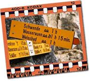Wandergruppe Dachsen