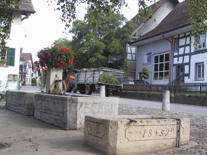 Der markanteste Brunnen in unserem Dorf ist der Vogel-Brunnen. Vom Brunnenstock aus werden zwei Brunnen gespiesen. Baujahr 1851. Die Einflussröhren sind mit Eisenkontstruktionen so geschützt, dass nicht vom Brunnen getrunken werden kann.  Daneben steht allein noch ein weiterer kleiner Brunnenteil mit dem Baujahr 1859. Die insgesamt 30 Minutenliter stammen von einer eigenen Quelle.
