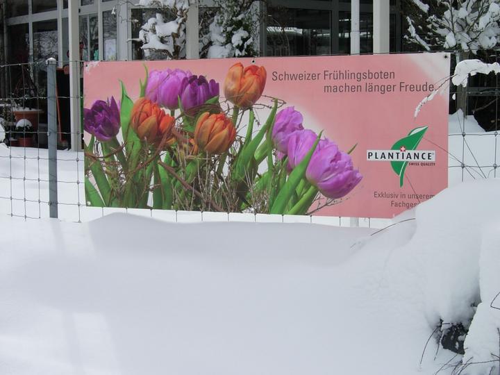 Zumindest dieses Werbeplakat bei der Gärtnerei Haus weist darauf hin.