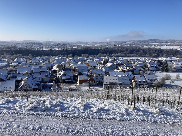 Aussicht auf Dachsen vom Rebberg