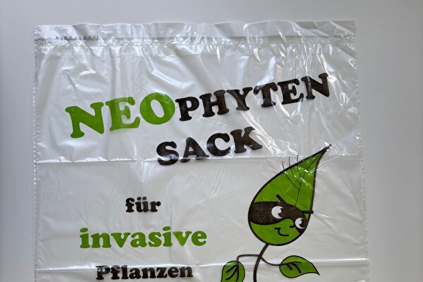 Neophytensack