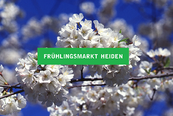 Markt im Frühling