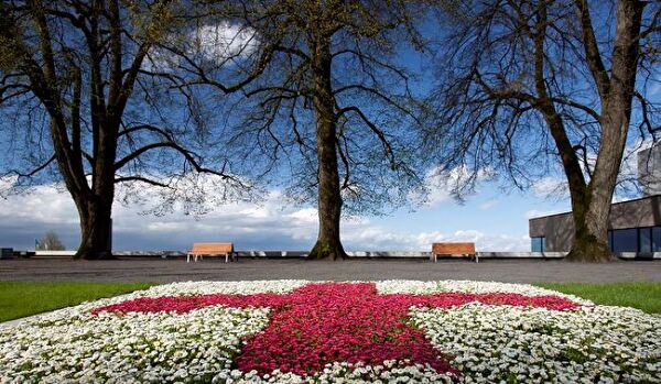 Rotes Kreuz aus Blumen