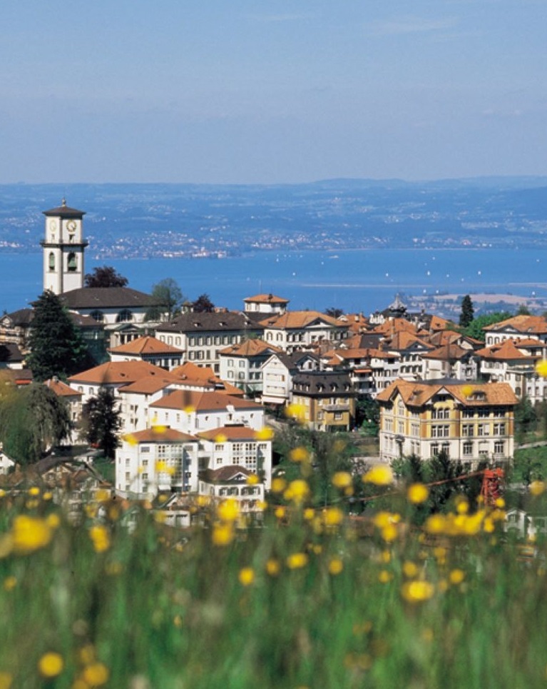 Blick auf Heiden mit Bodensee