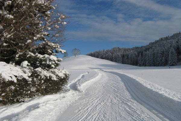 Langlauf in Heiden