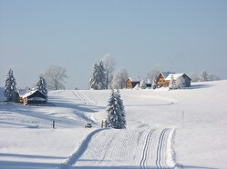 wunderschöne Langlaufpiste