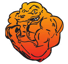 Logo Gekkos
