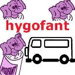 Logo Hygofant