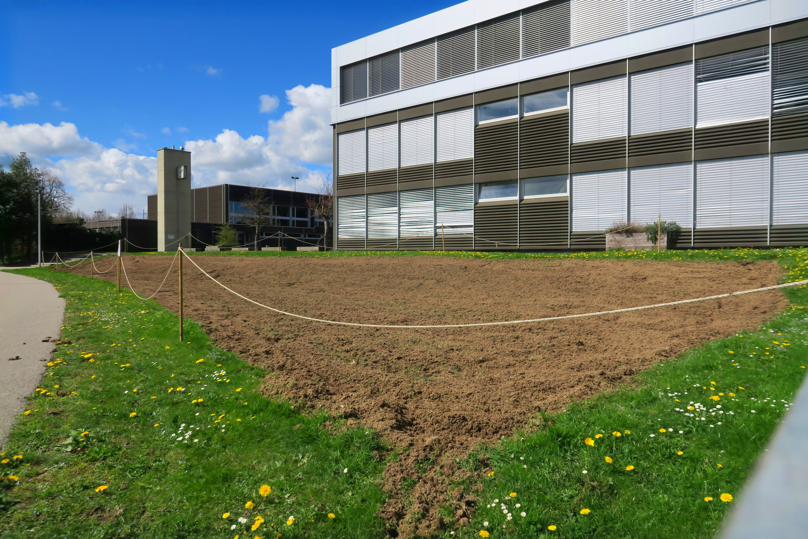 Blumenwiese Biodiversität