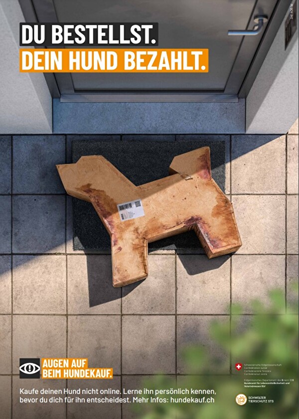 Poster Hundekauf