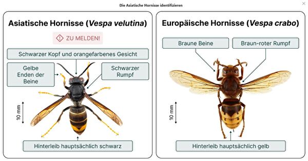 Unterschied