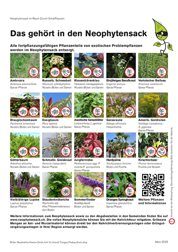 Collage Neophyten-Arten