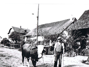 Ein Bauer steht mit seiner Kuh auf der Grafschaftstrasse, an der Stelle, wo sich die heutige Post befindet.